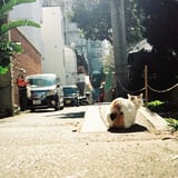 大寒波が来た日に