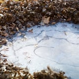 氷の模様