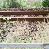 線路脇