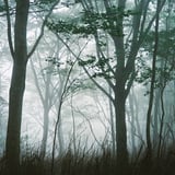 霧の縦走路