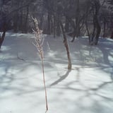 冬の陽ざしの下