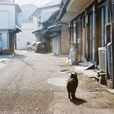 ごちそうさま