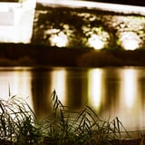 夜の散歩