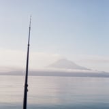 朝釣り