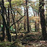 甑岳