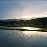 田んぼと夕暮れ