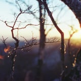 夕陽
