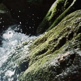 沢