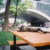 昼寝