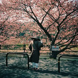 春を待つ