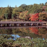 見頃を迎えつつある紅葉