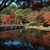 日本庭園