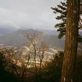 虹