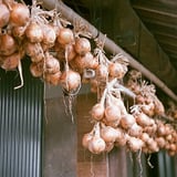玉葱