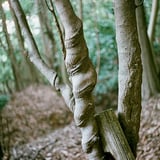 ぐるぐる