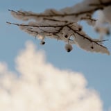雪