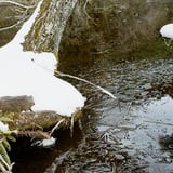 氷