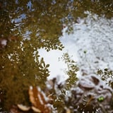 水たまり