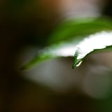 水滴