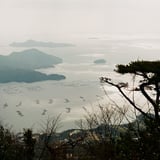 牡蠣イカダ