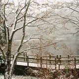 雪