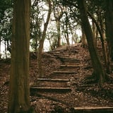 登山道