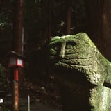 狛虎