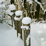雪帽子