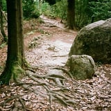 登山道