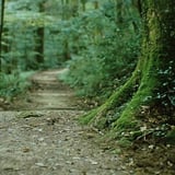 道