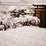 翌朝