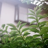 水滴