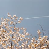 飛行機雲