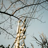 電柱