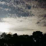 雲