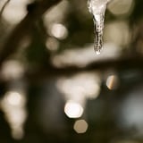 氷