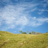 深入山