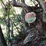 山火事注意
