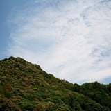 権現山