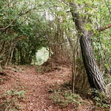 トンネル