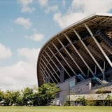PEACE WING