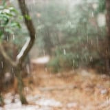 降雪