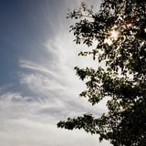 雲