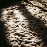雪
