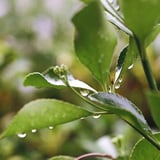 水滴