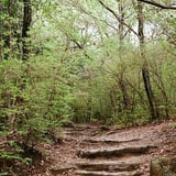 登山道