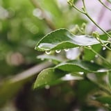 水滴