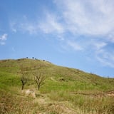 深入山