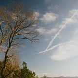 飛行機雲