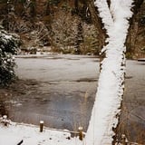 蛇の池